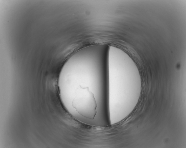 X0000092020329200709131602