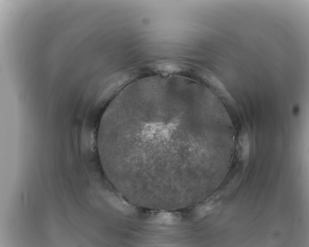 X0000092020330200709131602