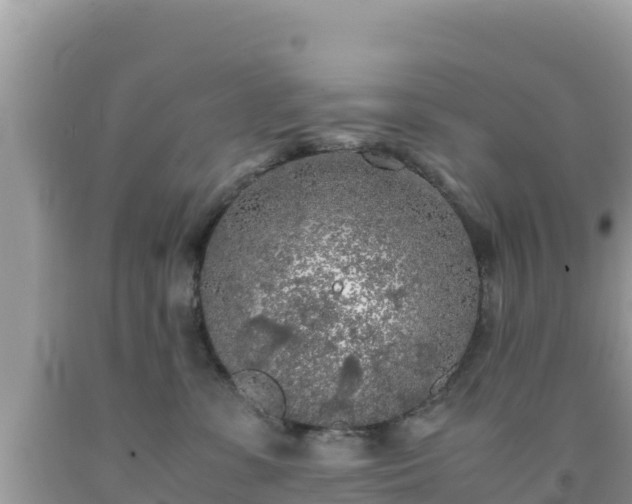 X0000092020331200709131602