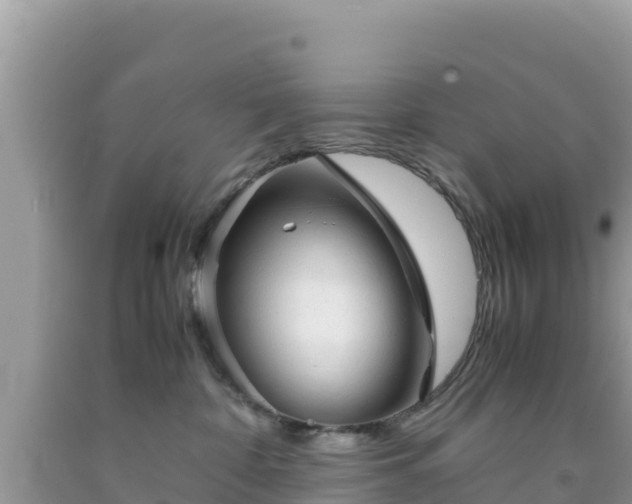 X0000092020332200709131602