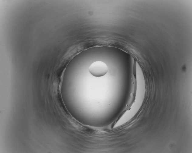 X0000092020333200709131602