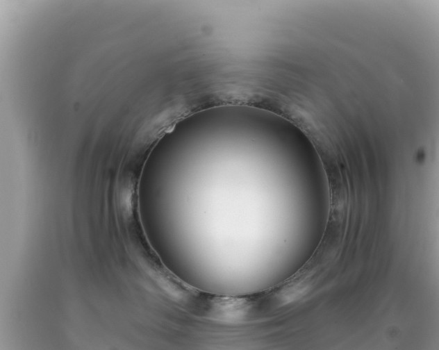 X0000092020334200709131602