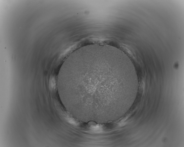 X0000092020335200709131602