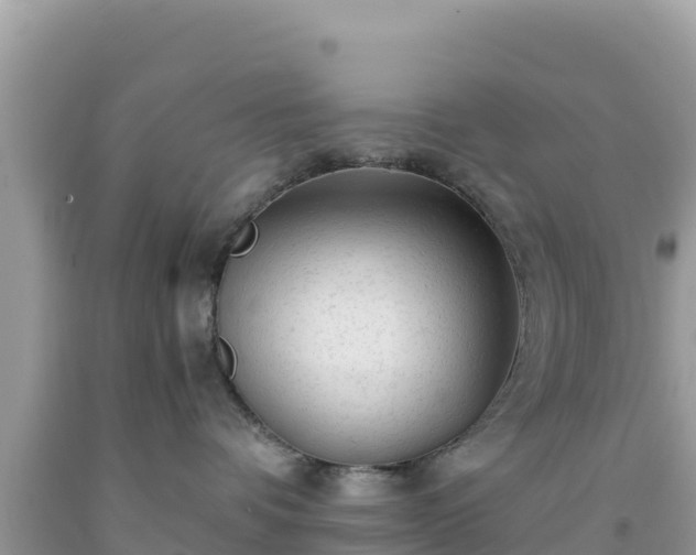 X0000092020336200709131602