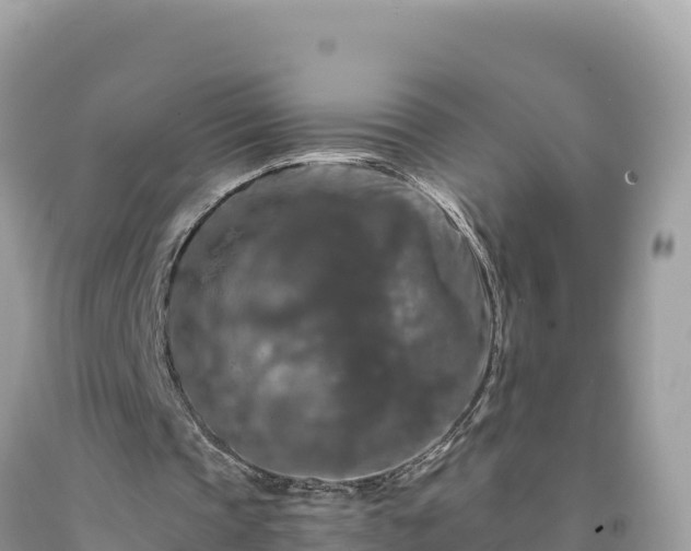 X0000092020337200709131602