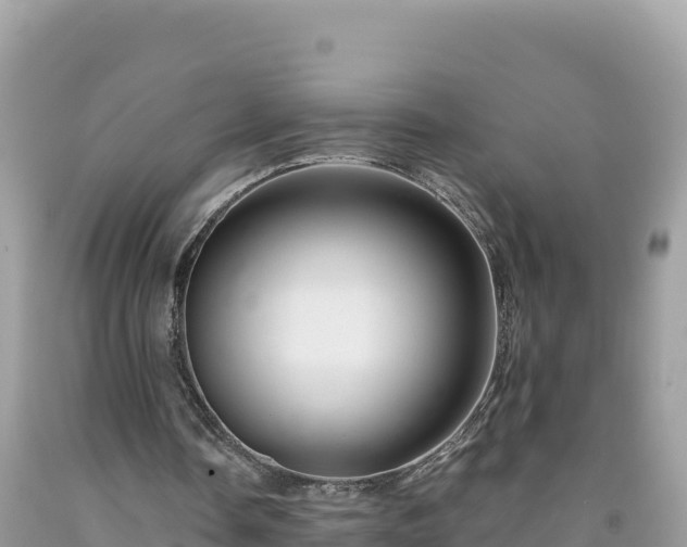 X0000092020338200709131602