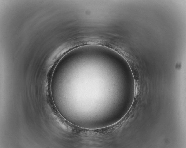 X0000092020339200709131602