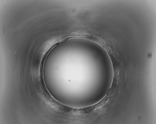 X0000092020340200709131602