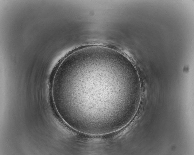 X0000092020342200709131602