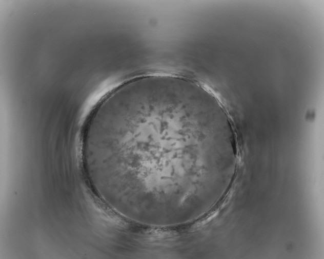 X0000092020343200709131602