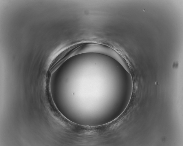 X0000092020344200709131602