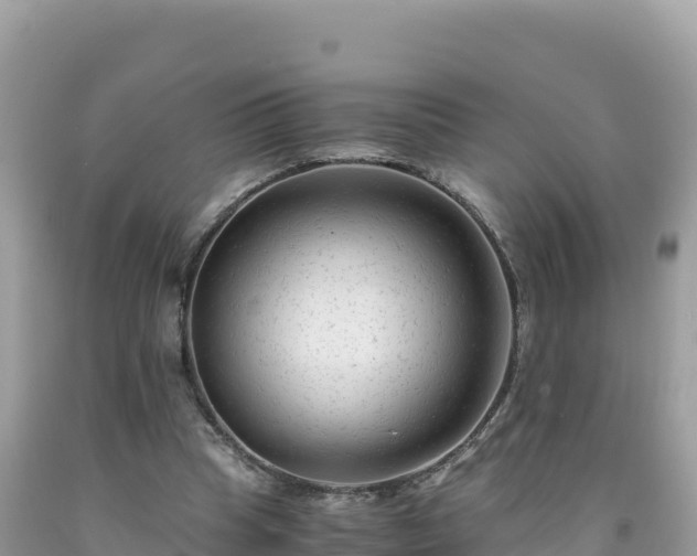 X0000092020345200709131602