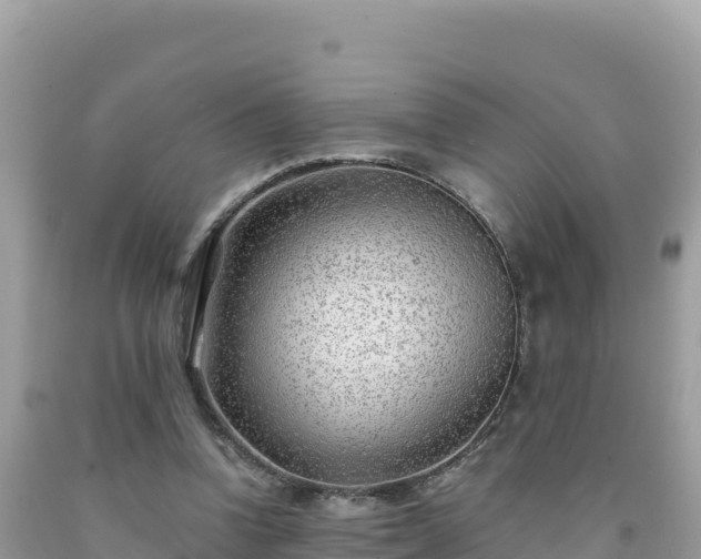 X0000092020346200709131602