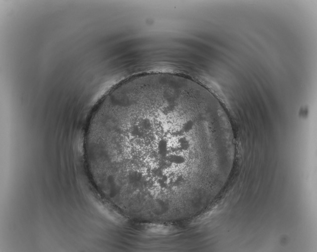 X0000092020347200709131602