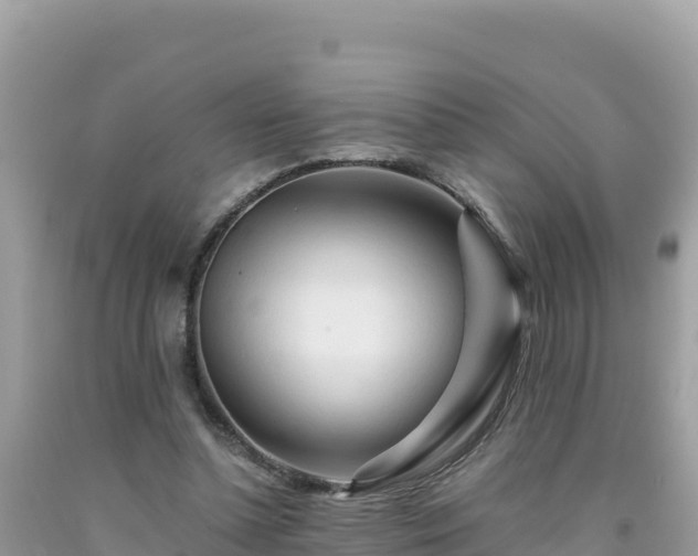 X0000092020348200709131602