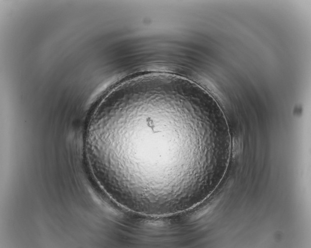 X0000092020349200709131602