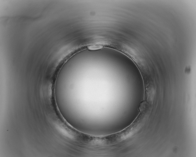 X0000092020350200709131602