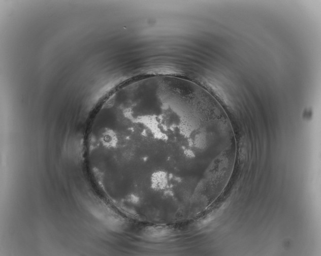 X0000092020351200709131602