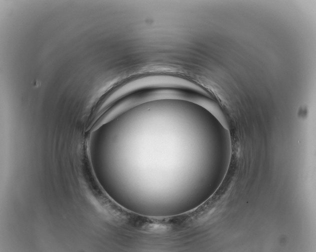 X0000092020352200709131602