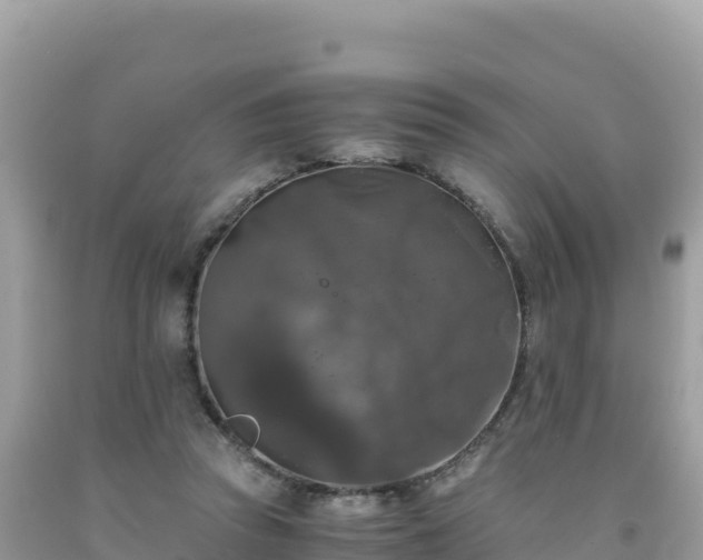 X0000092020353200709131602