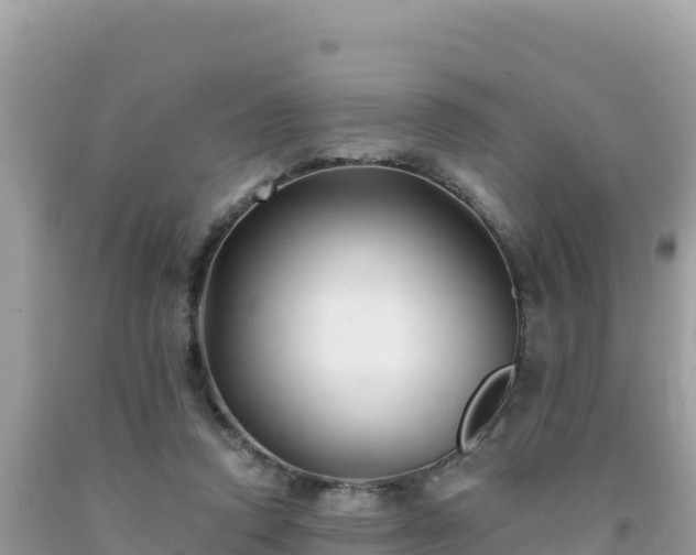 X0000092020354200709131602