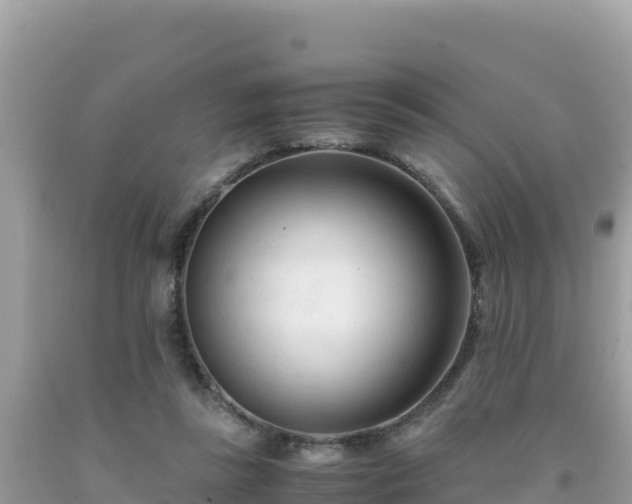 X0000092020355200709131602