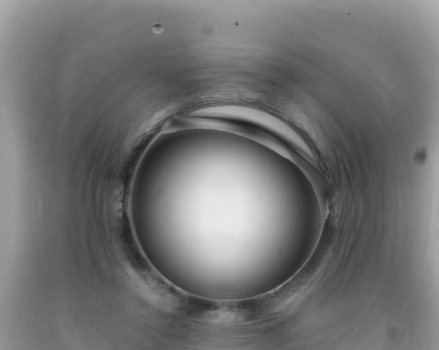 X0000092020356200709131602