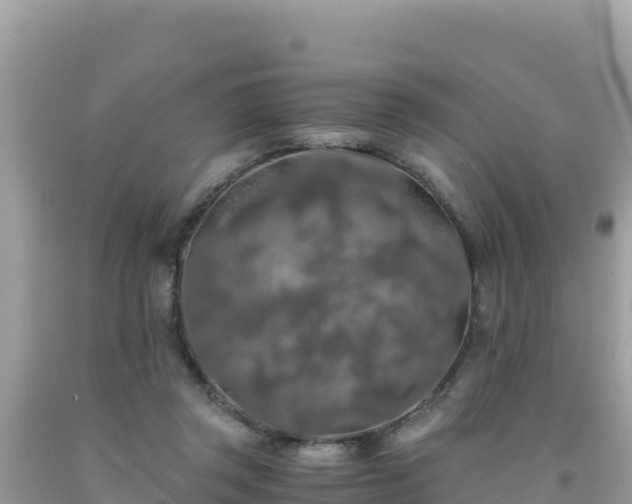 X0000092020357200709131602