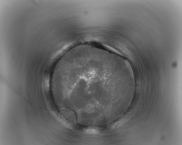 X0000092020358200709131602