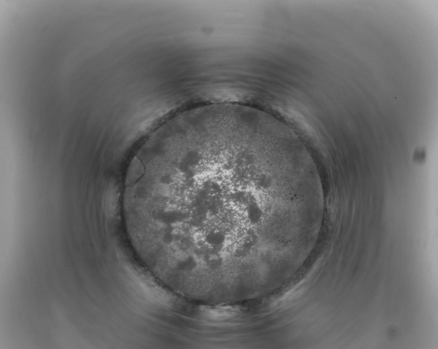 X0000092020359200709131602