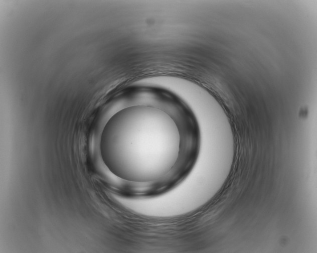 X0000092020360200709131602