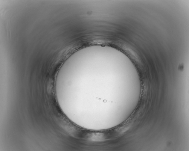 X0000092020361200709131602