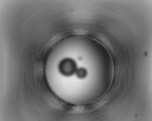 X0000092020362200709131602