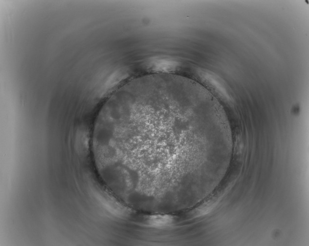 X0000092020363200709131602