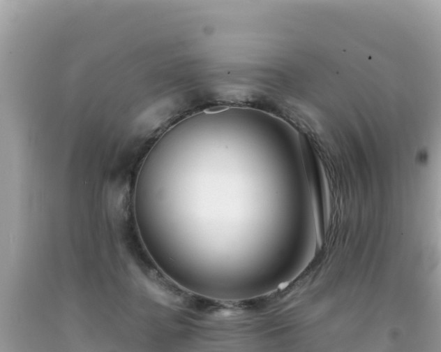 X0000092020364200709131602