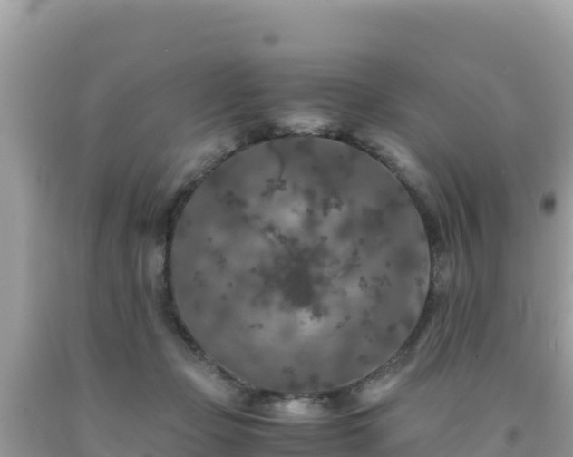 X0000092020365200709131602