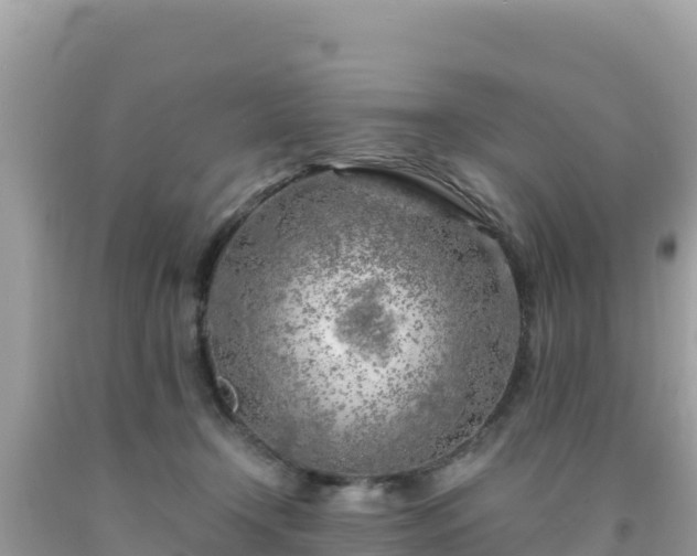 X0000092020366200709131602