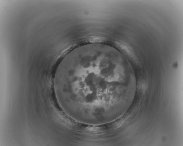 X0000092020367200709131602