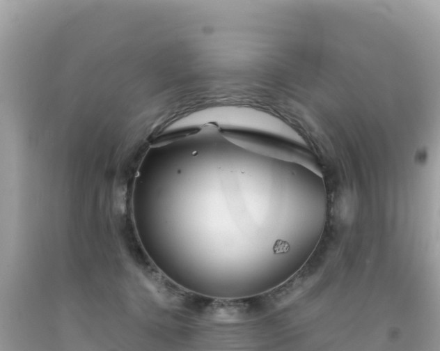 X0000092020368200709131602