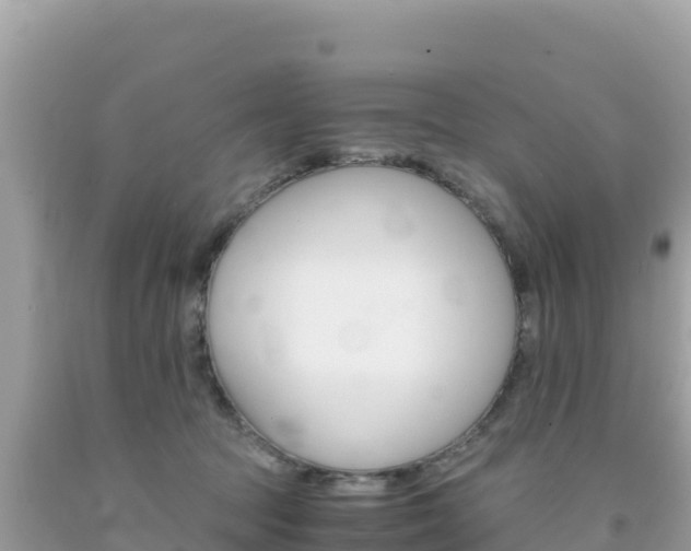 X0000092020369200709131602