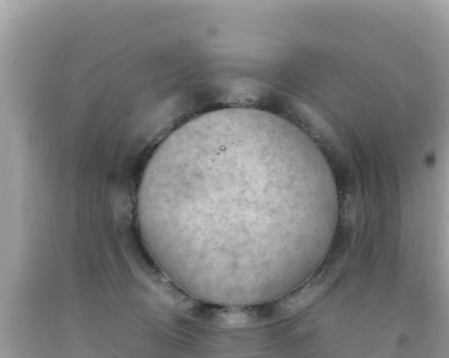 X0000092020370200709131602