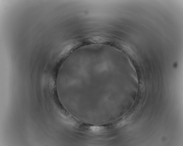 X0000092020371200709131602