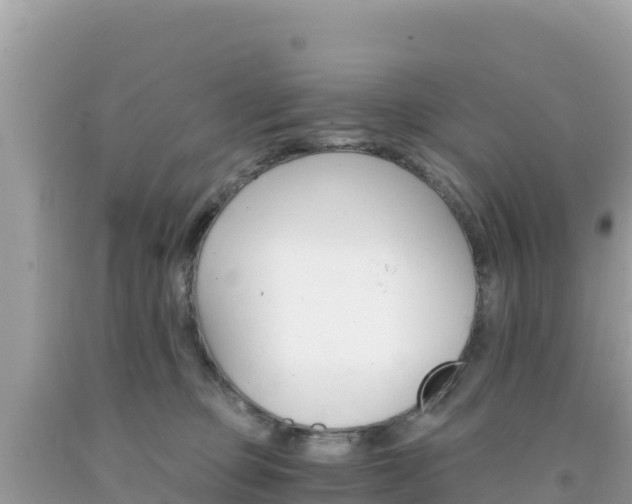 X0000092020373200709131602