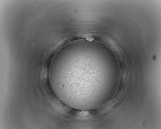 X0000092020374200709131602