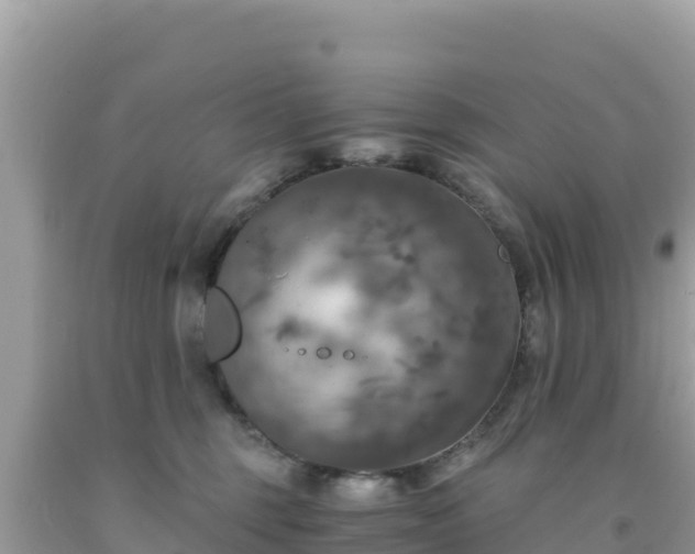 X0000092020375200709131602