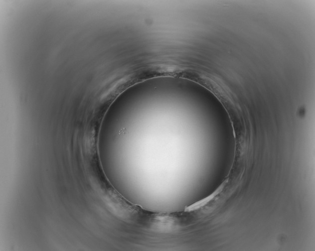 X0000092020376200709131602