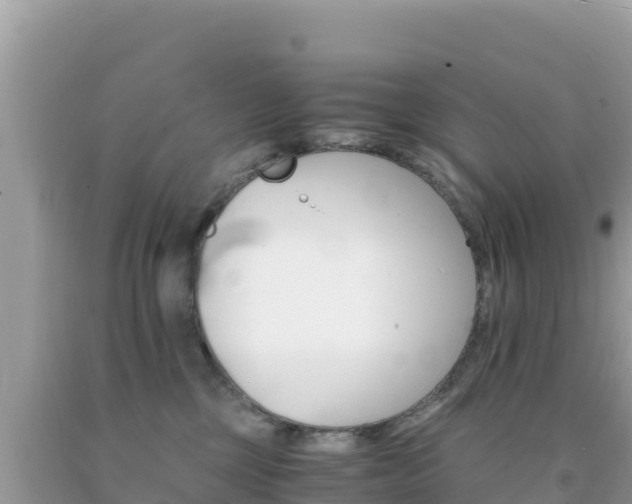 X0000092020377200709131602