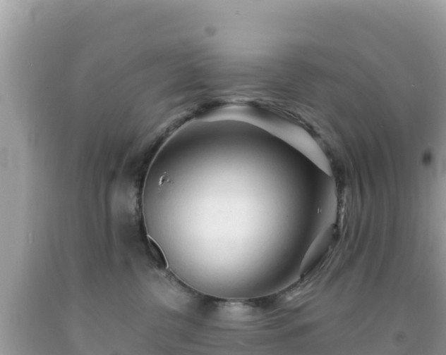 X0000092020380200709131602