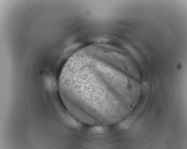 X0000092020381200709131602