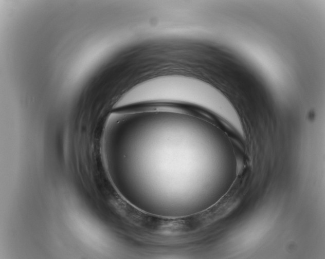 X0000092020382200709131602